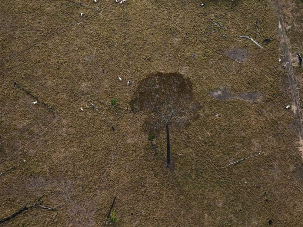 Las mejores fotos aéreas de Reuters - Reuters_9