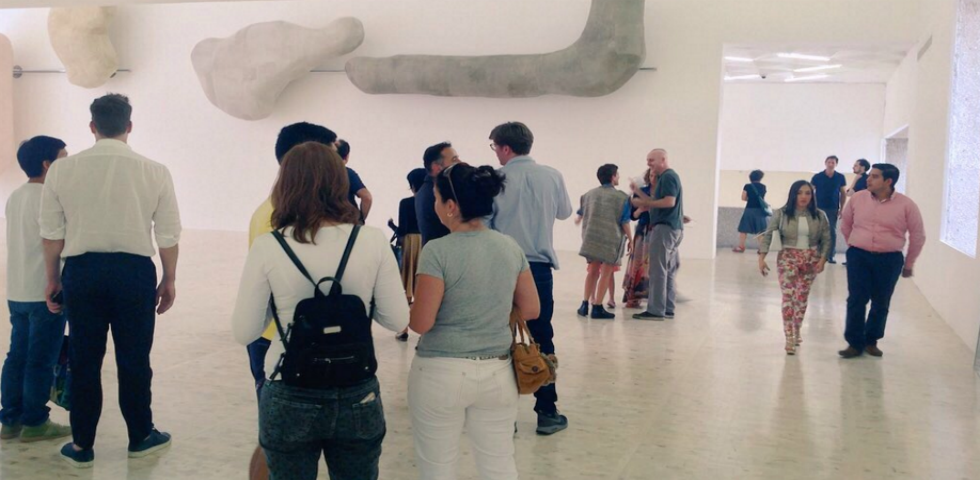 Oferta cultural de invierno en el Museo Tamayo