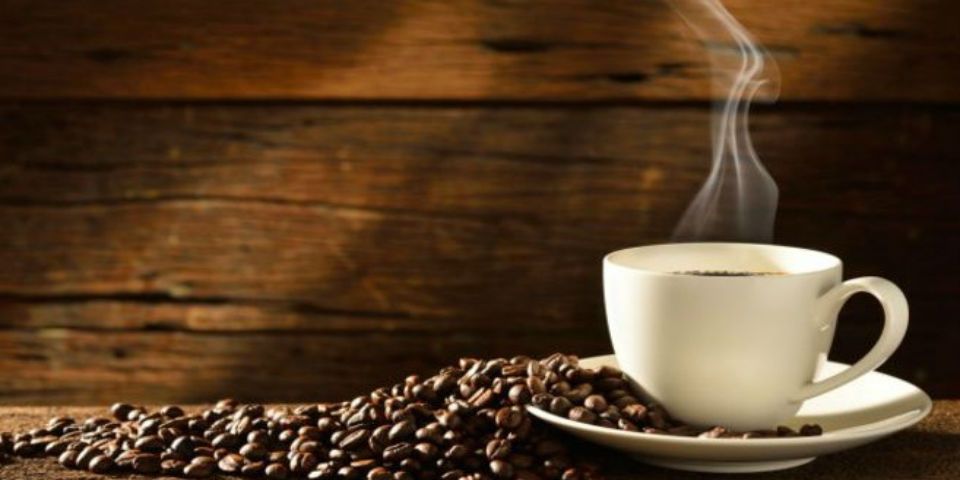 Recomiendan consumo moderado de café Recomiendan consumo moderado de café