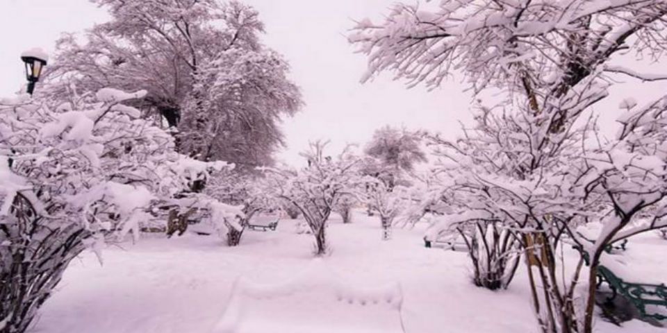 Vuelve a nevar en Chihuahua
