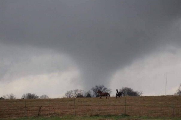 Mueren ocho por tornados en Estados Unidos