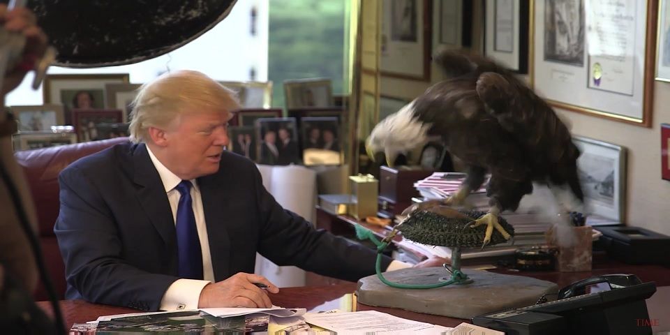 Video: águila calva ataca a Trump