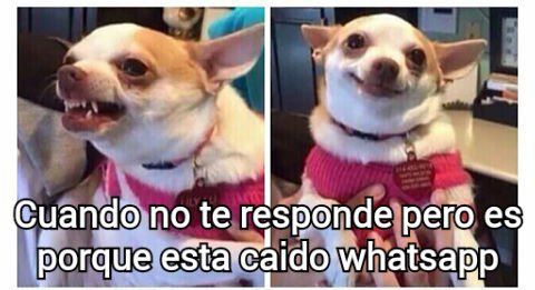 Usuarios registran caída de WhatsApp - Whatsapp1