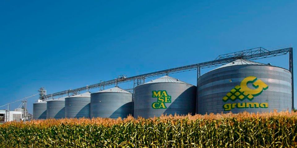 Gruma avanza en ranking de empresas con mejor reputación corporativa Gruma avanza en ranking de empresas con mejor reputación corporativa