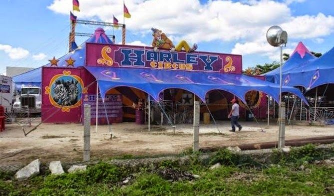 Arrestan a dueño de circo en Yucatán