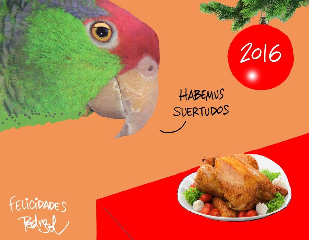 ¡Quema mucho el sol! Pavo...roso - img132-1024x796