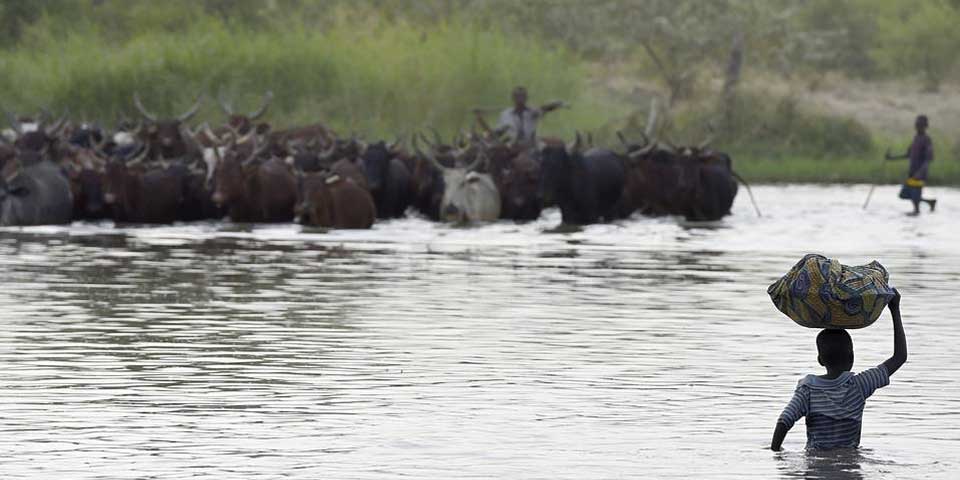 Ataque suicida en Chad deja 30 muertos y 80 heridos