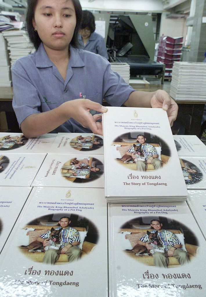 Hombre podría ir a prisión por insultar a la perra del rey de Tailandia - libro-perra-rey-tailandia-710x1024