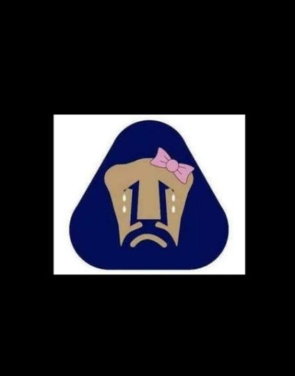 Los mejores memes de la final - memes-tigres-pumas-10