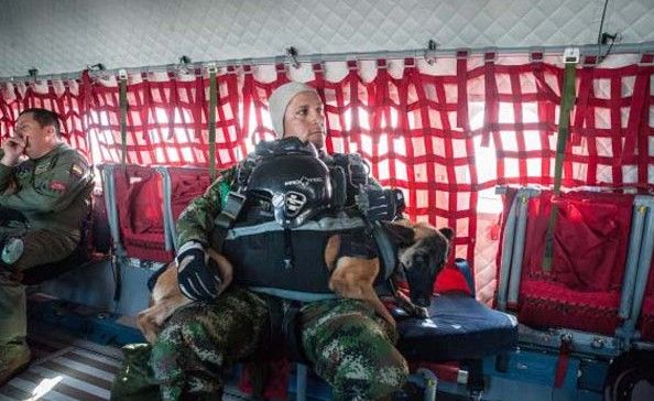 Fuerza Aérea de Colombia entrena a perros paracaidistas - perra-paracaidista-5-e1449097555138