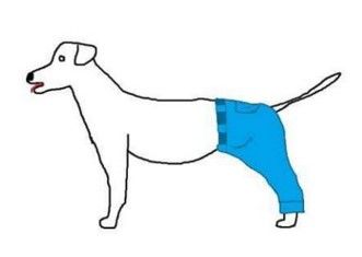 La nueva imagen viral de Twitter La nueva imagen viral de Twitter