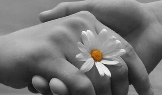 Encuentra a su hermana 70 años después