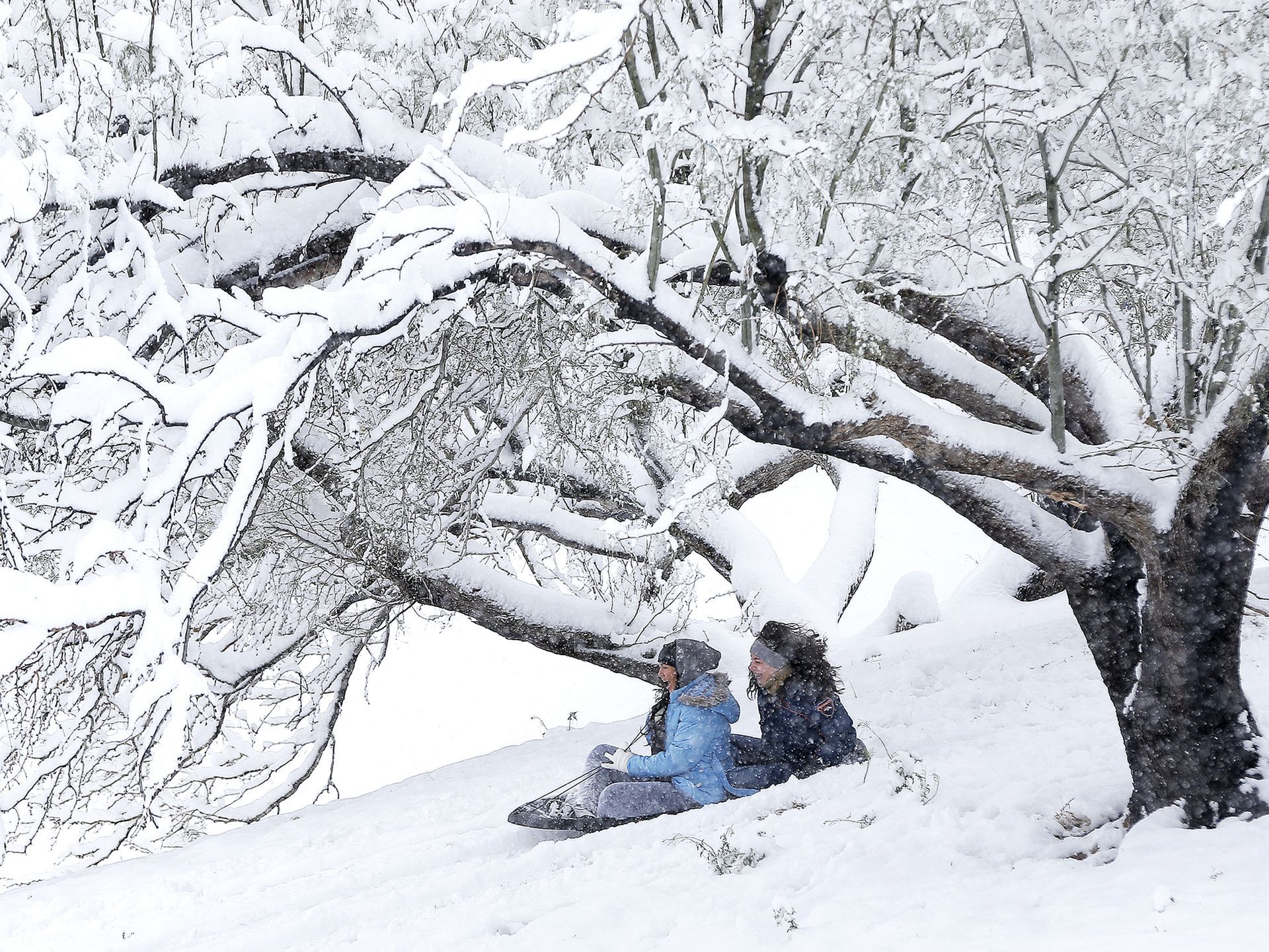 Tormentas dejan 43 muertos en Estados Unidos