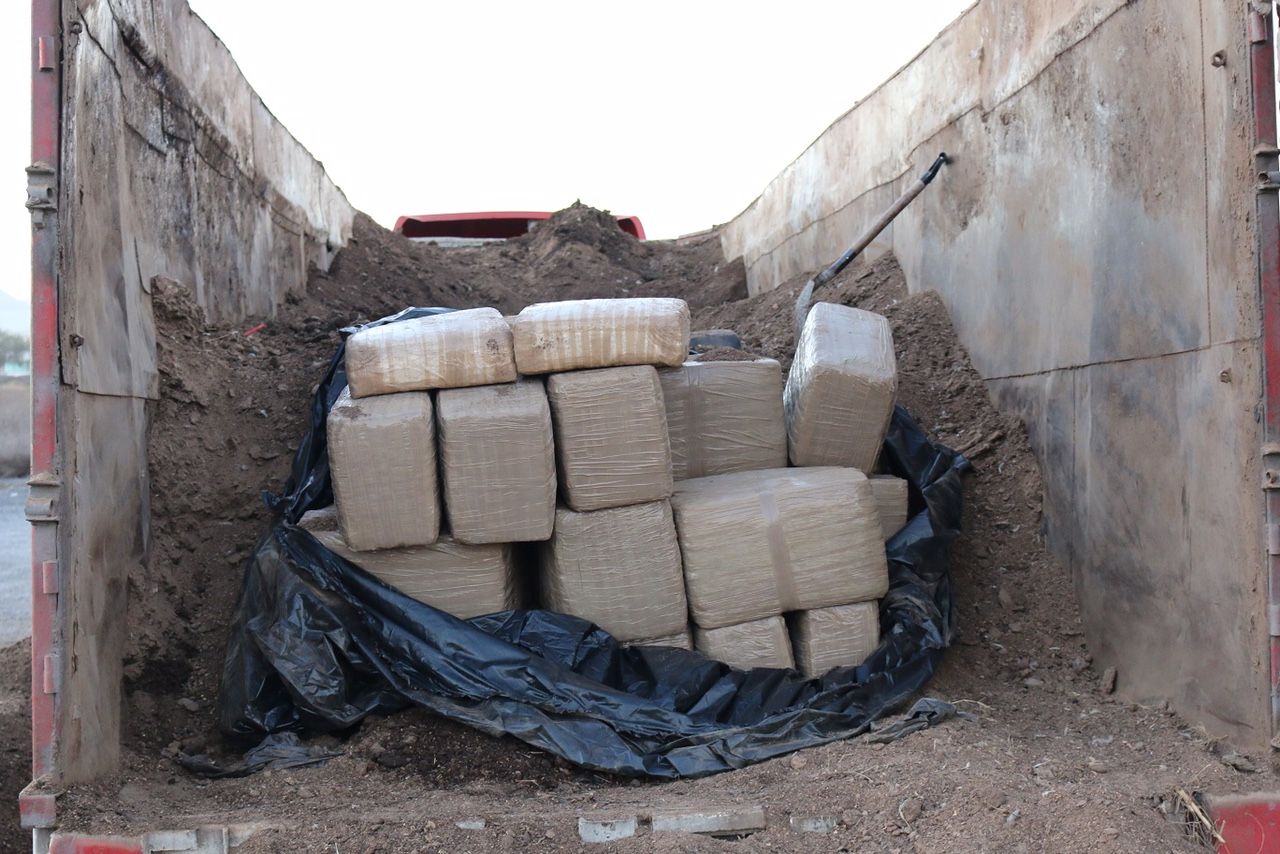 Aseguran tres toneladas de mariguana en NL