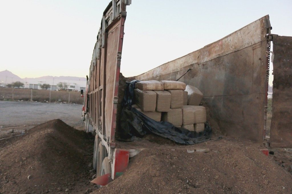 Aseguran tres toneladas de mariguana en NL - 2-1024x683