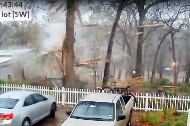 Video: captan rayo al impactar y destrozar un árbol de una escuela