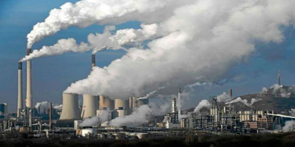 Actividad humana creó una nueva era geológica