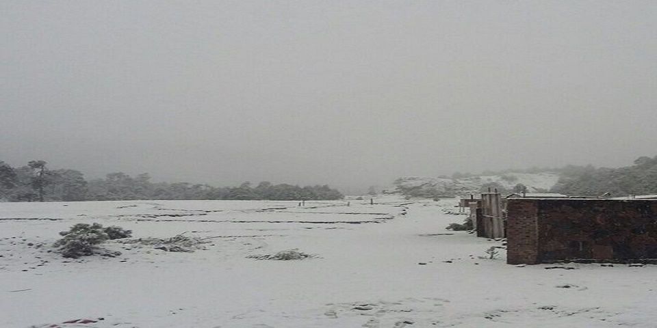 Persistirán temperaturas muy frías, lluvias y nieve en el país