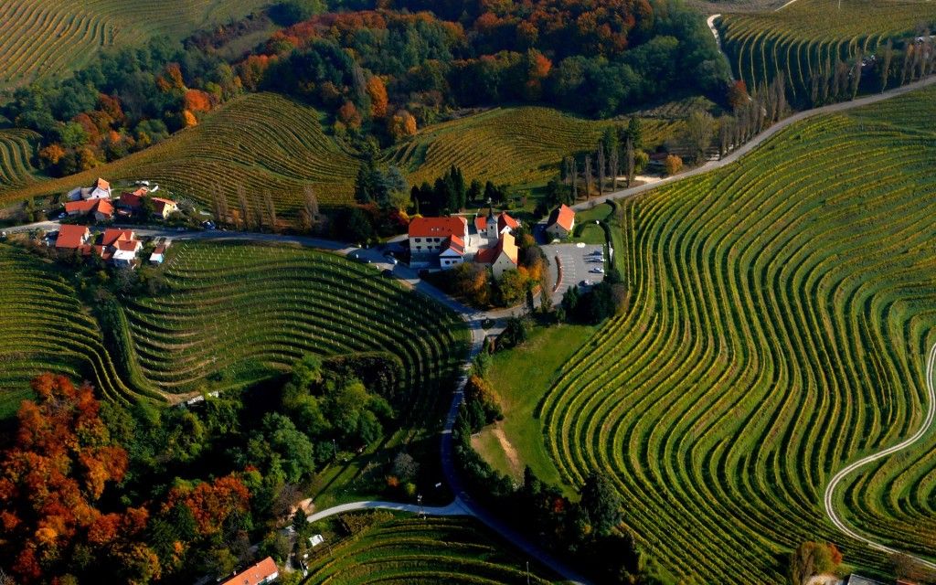 Los países que más vino consumen en el mundo - Eslovenia-1024x640