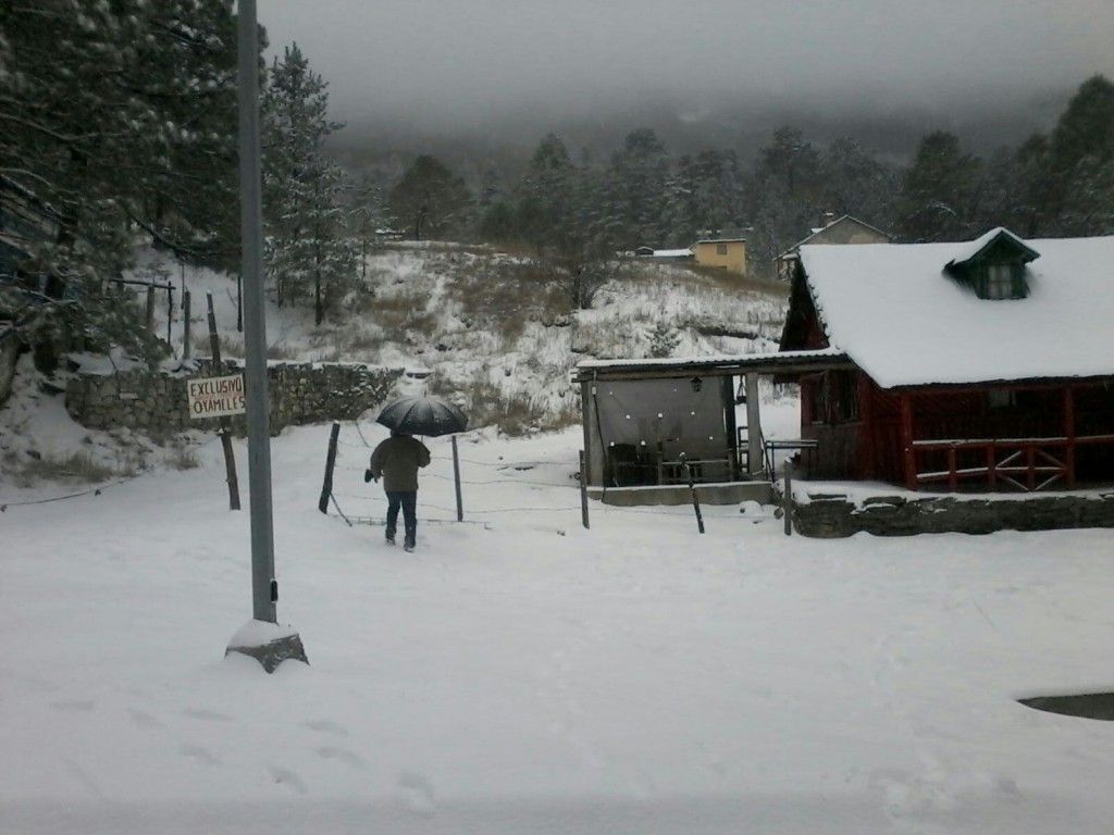 Nieve cubre municipios de Nuevo León y Coahuila - IMG_4763-1024x768
