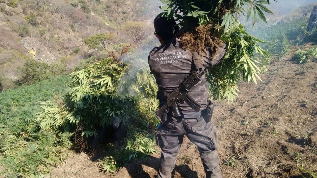 Localiza PGR cuatro plantíos de amapola y mariguana en Nayarit - La-Yesca-Nayarit-1024x576