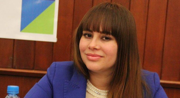 Diputada vinculada al Chapo mintió al PAN: Döring