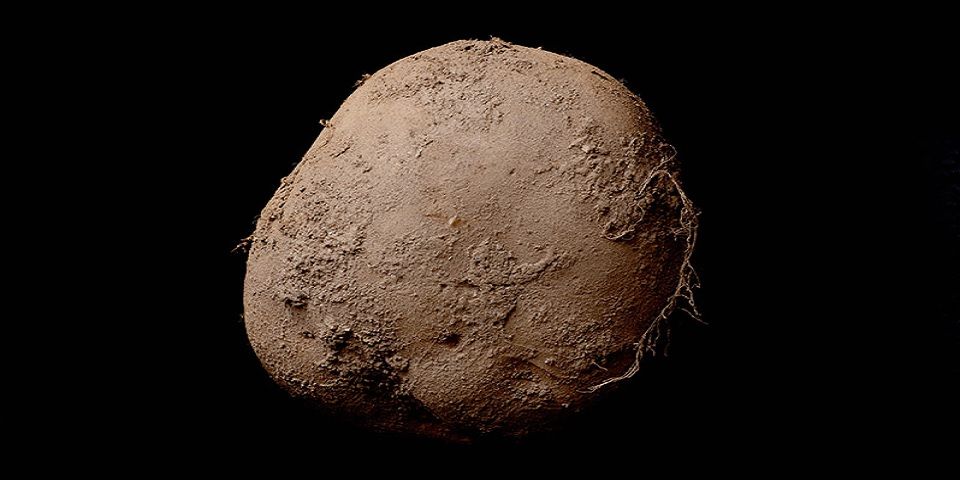 Comprador anónimo paga 1 millón de dólares por foto de una papa Comprador anónimo paga 1 millón de dólares por foto de una papa