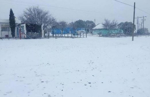 Nieve cubre municipios de Nuevo León y Coahuila - Screenshot_1018