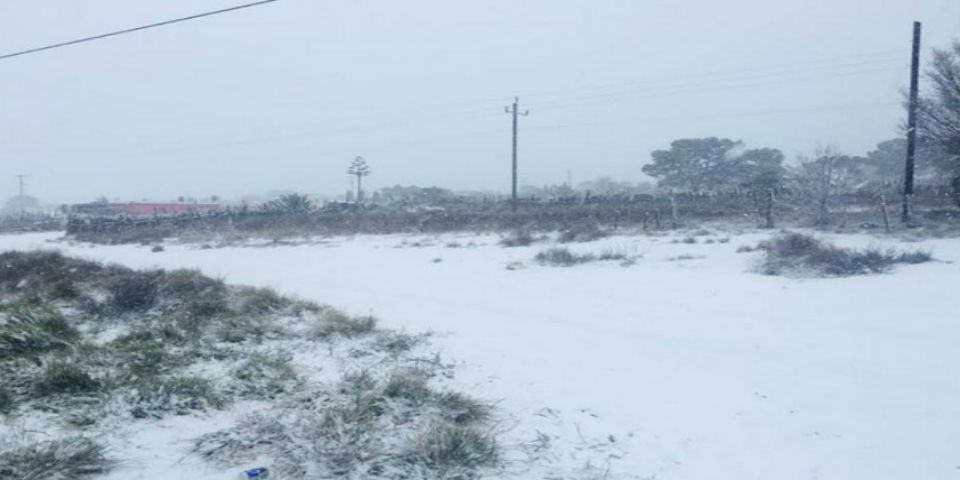 Nieve cubre municipios de Nuevo León y Coahuila