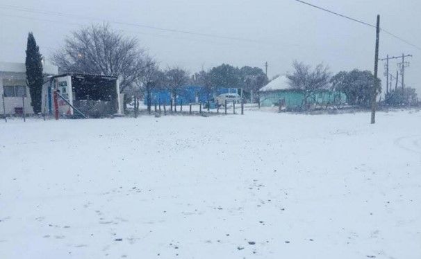 Nieve cubre municipios de Nuevo León y Coahuila - Screenshot_1218
