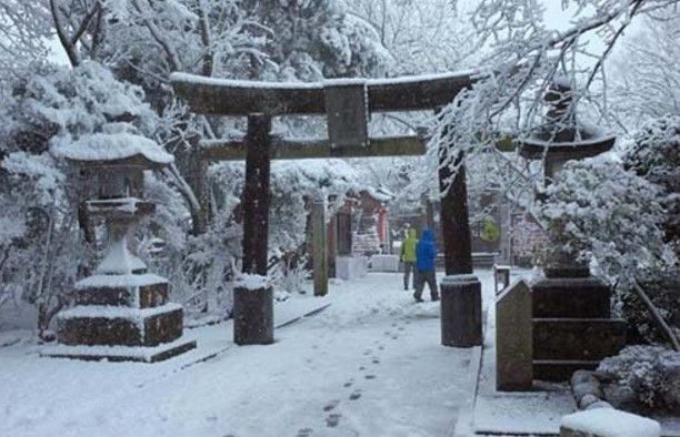 Cancelan cientos de vuelos por nevadas en Japón - Screenshot_1310