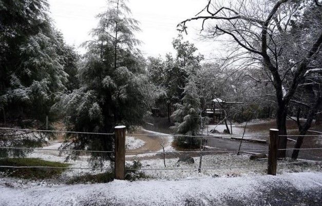 Nieve cubre municipios de Nuevo León y Coahuila - Screenshot_1415
