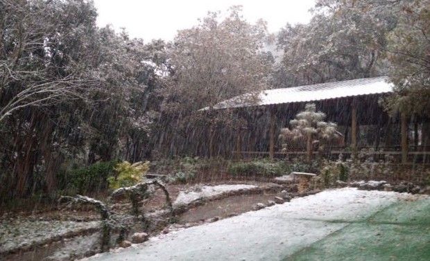 Nieve cubre municipios de Nuevo León y Coahuila - Screenshot_1513