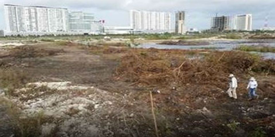 Utilizan de basurero un manglar de Tamaulipas