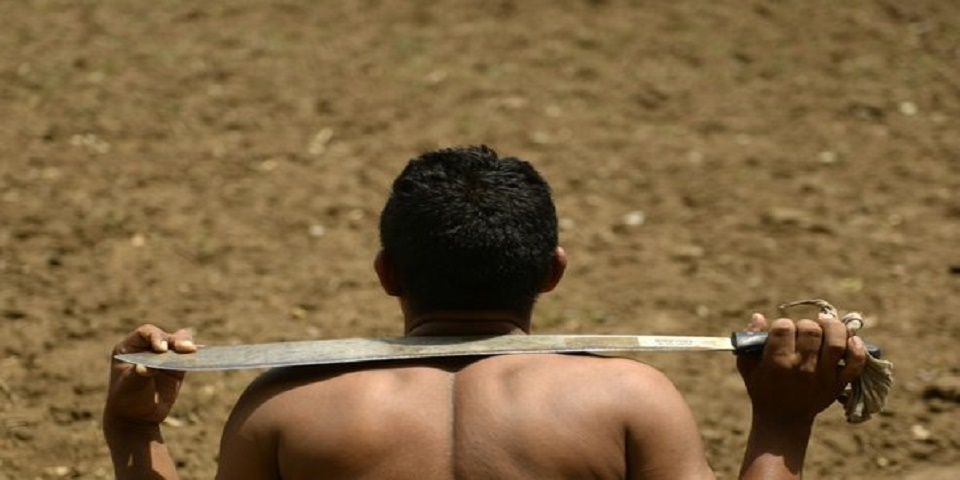 Grave sequía en Centroamérica deja 3.5 millones de afectados Grave sequía en Centroamérica deja 3.5 millones de afectados