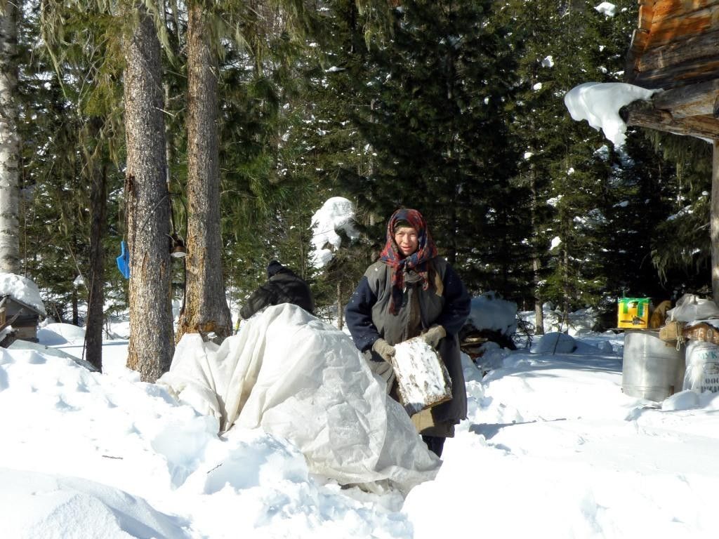 El caso de la ermitaña siberiana que regresó a casa tras ser hospitalizada - Siberia2-1024x768