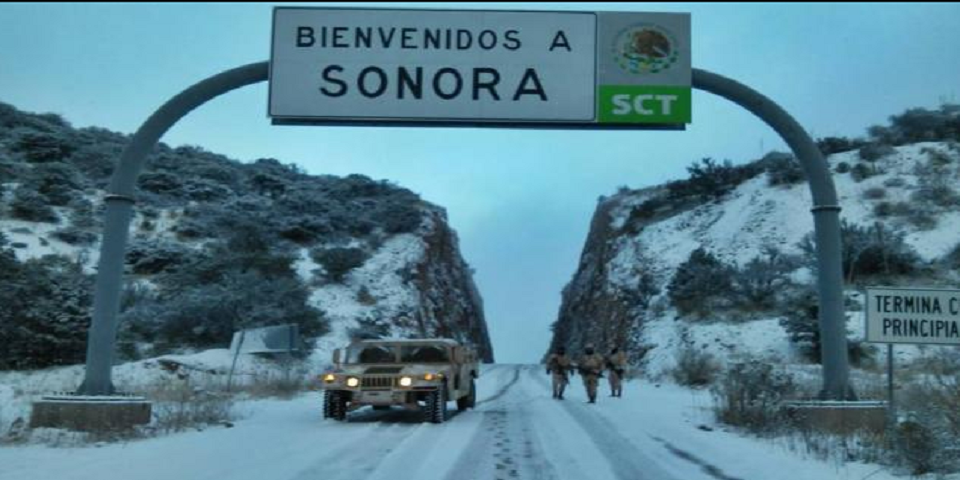 Afectadas 24 mil hectáreas de cultivos en el sur de Sonora