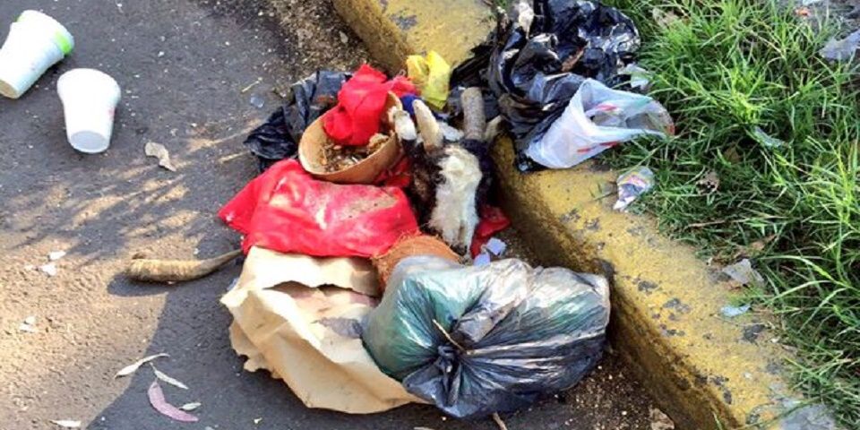 Denuncia Xóchitl Gálvez tiradero de animales