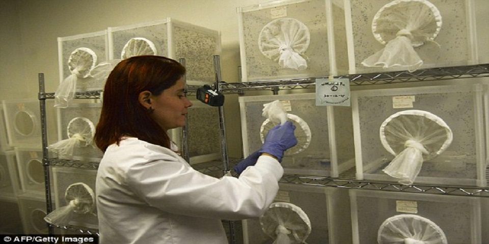 Vacuna del Zika podría estar lista para octubre