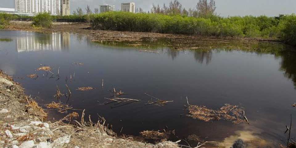 Caso Tajamar: juzgado podría dar fallo a favor de FONATUR