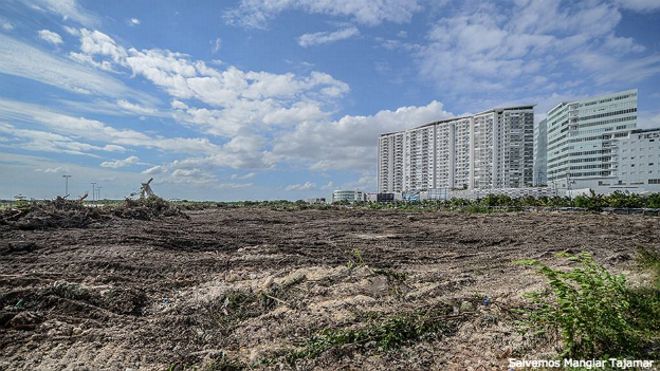 Organizaciones civiles denuncian destrucción de manglar en Cancún