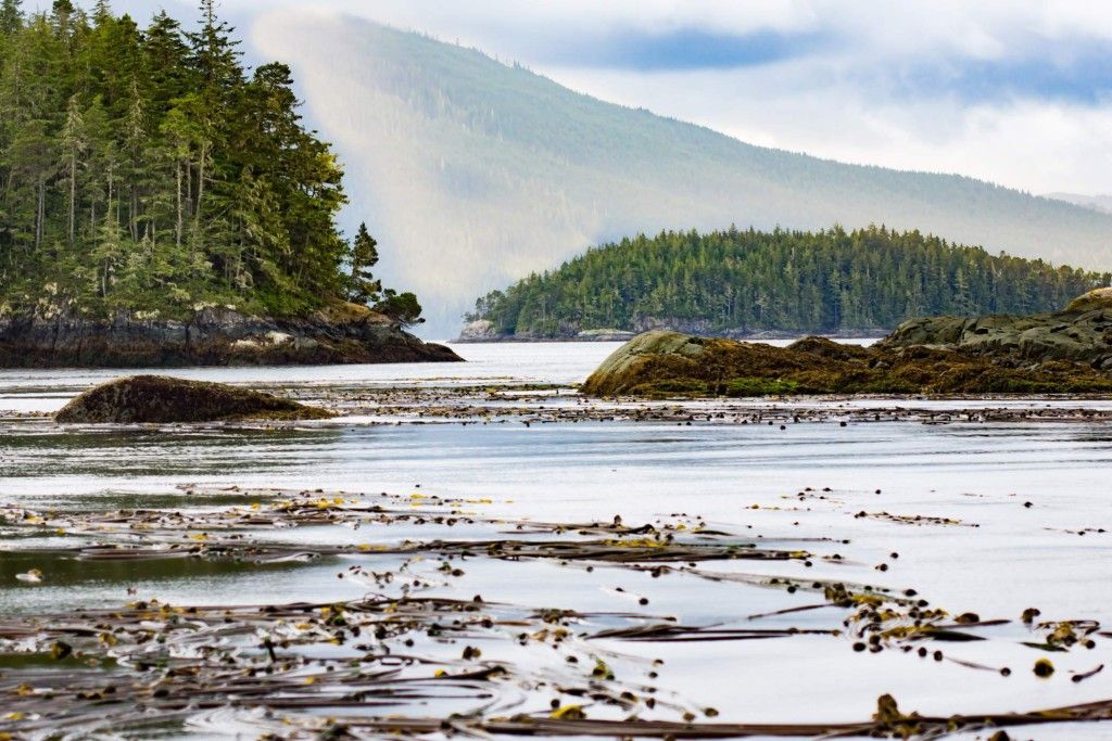 52 lugares para visitar en 2016, según el NYT - gulfislands-landscape-2100-1024x683