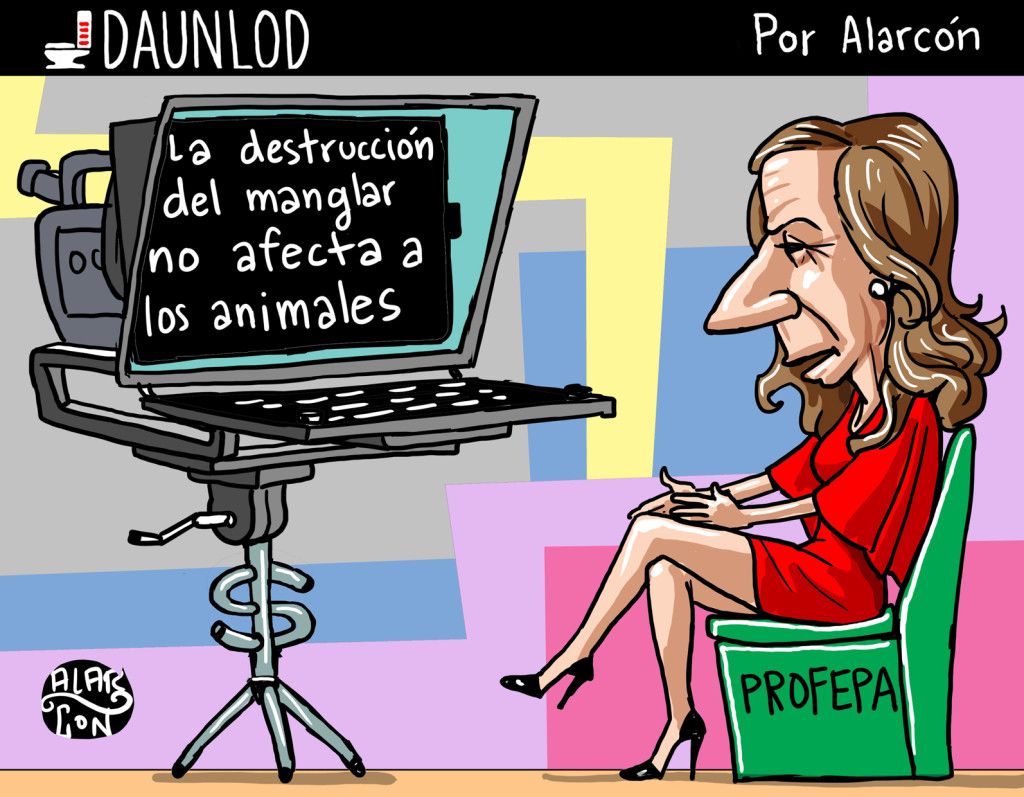 El Cartón de Alarcón 29 de enero de 2016 - i-160129-1024x797