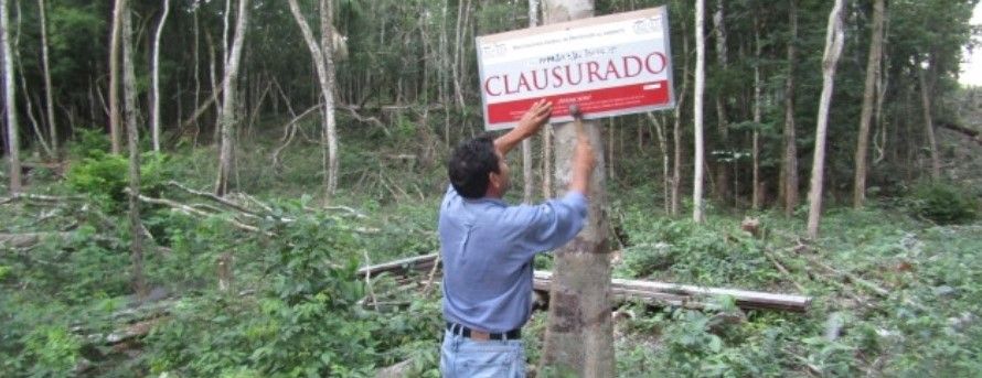 Profepa clausura predio y mina en Península de Yucatán