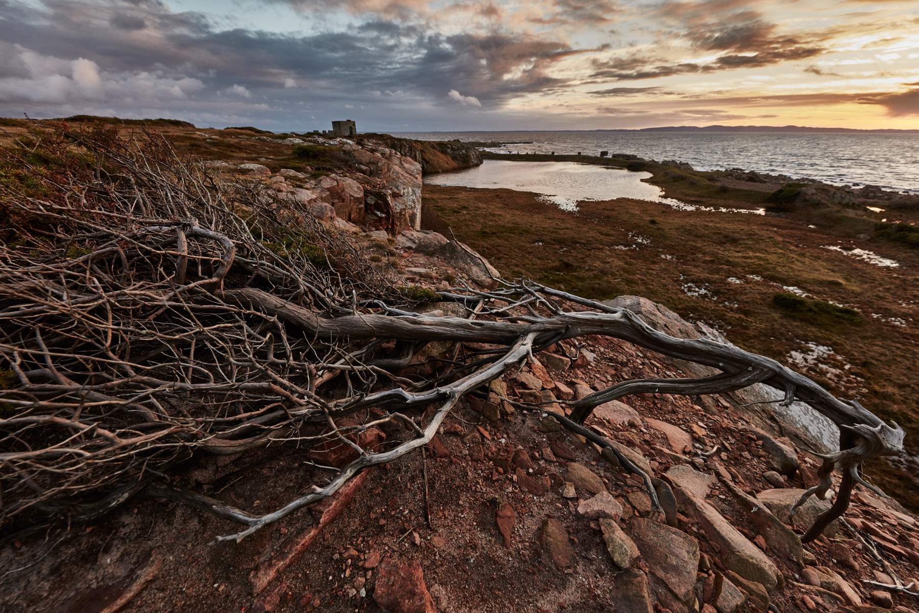 Alumnos del Tec trabajan para el New York Times tomando fotos con drones - skane-landscape-1800