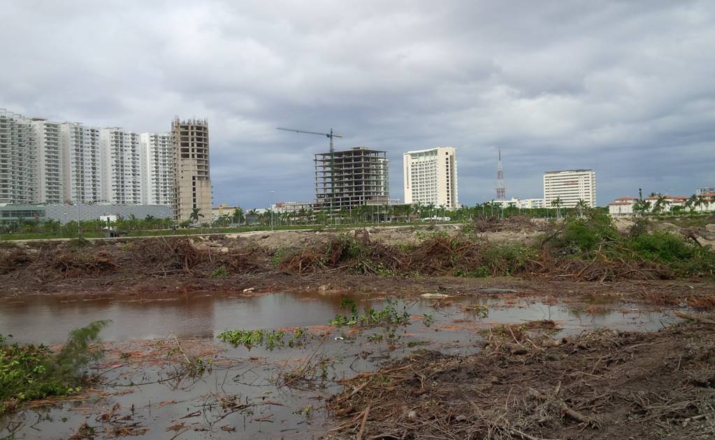 Fonatur responde a FCH por destrucción del manglar Tajamar