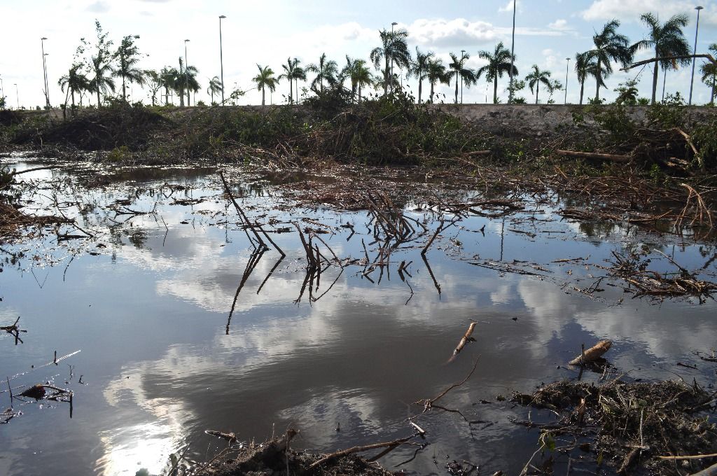 Proyecto Tajamar se mantiene: gobierno federal