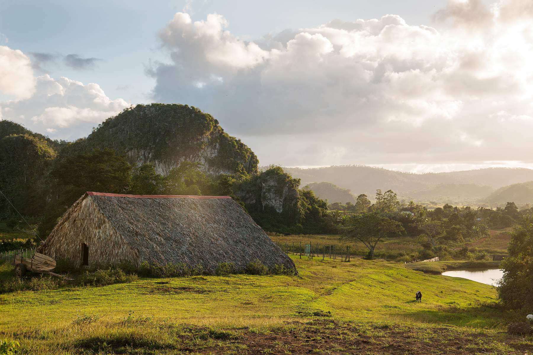 Alumnos del Tec trabajan para el New York Times tomando fotos con drones - vinales-landscape-1800
