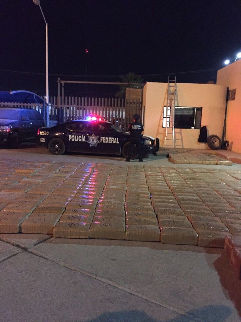 PF asegura tráiler cargado con más de cuatro toneladas de mariguana - 20160216125848-768x1024