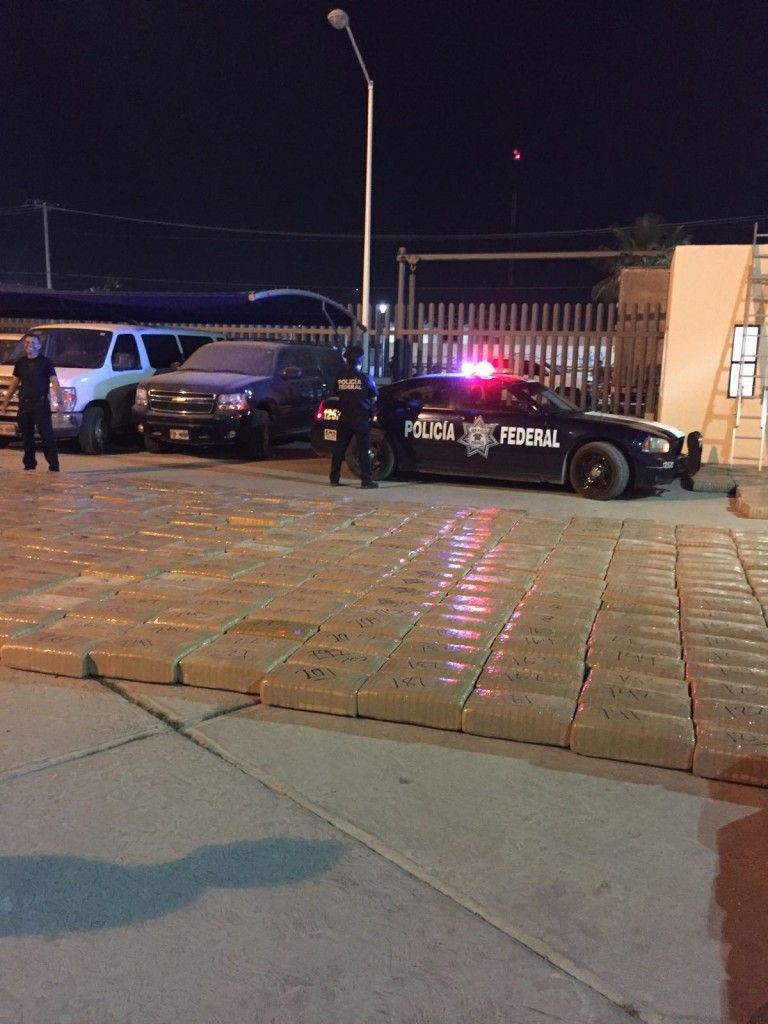 PF asegura tráiler cargado con más de cuatro toneladas de mariguana - 20160216125926-768x1024